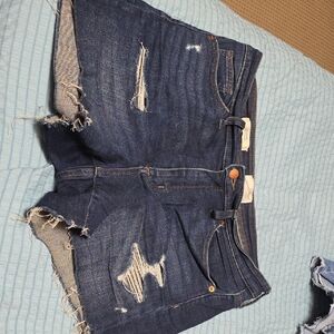 Distressed Denim Women Shorts